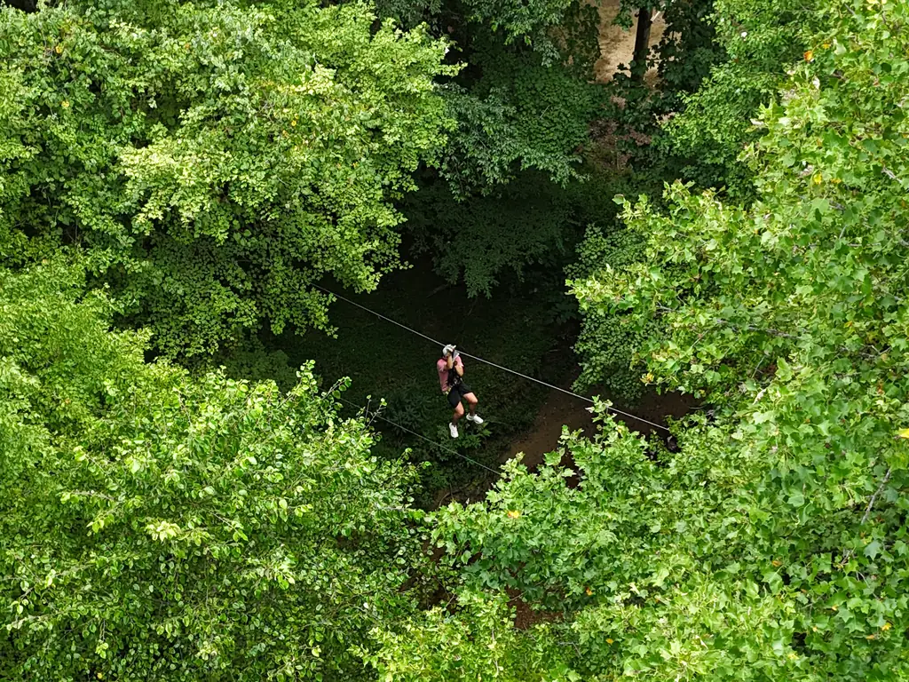 Camper zip lining through the fall forest canopy